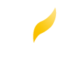 Catholight Logo
